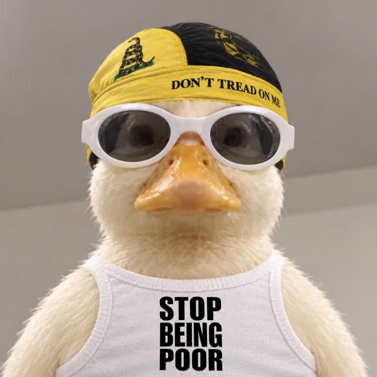 NasAlon, a cream-colored goose in white sunglasses and a yellow-black bandana
